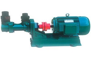 011710K-PUMP 100 NTSm